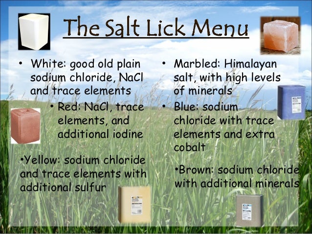 Check my milf models Sulfur salt lick